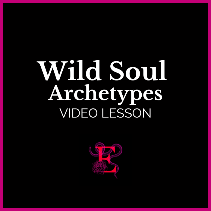 Wild Soul Archetypes Video Lesson